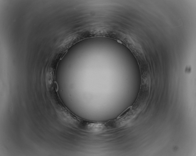 X0000098230133200805011307