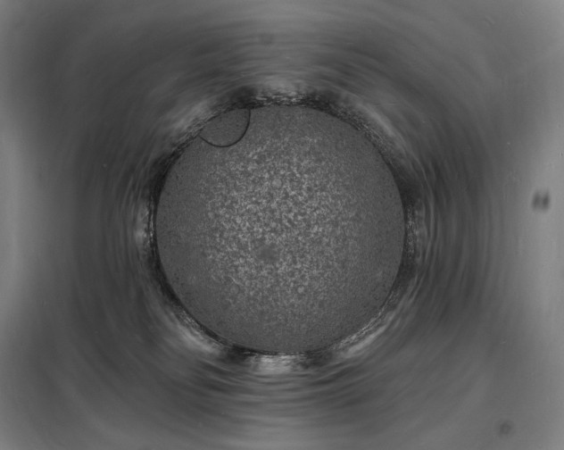 X0000098230134200805011307