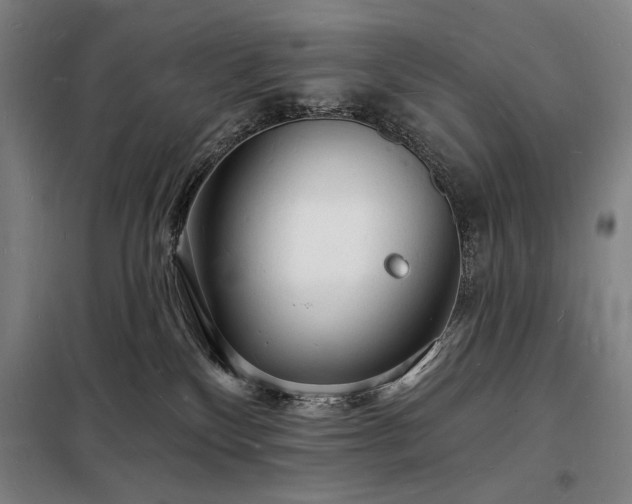 X0000098230136200805011307