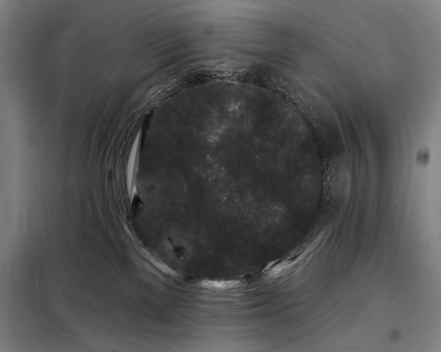X0000098230137200805011307