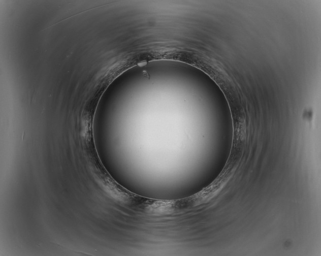 X0000098230138200805011307