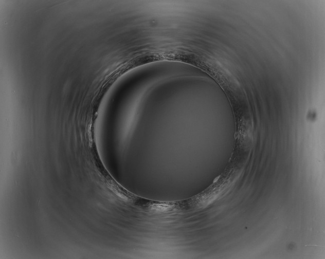 X0000098230139200805011307