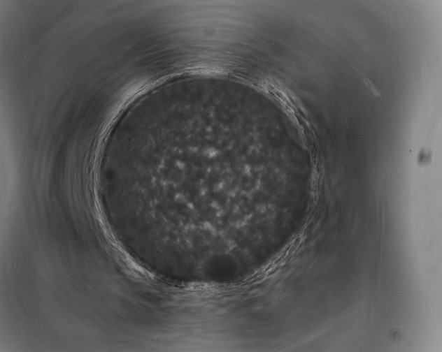X0000098230145200805011306