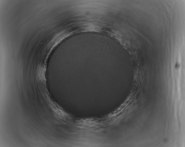 X0000098230146200805011306