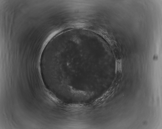 X0000098230147200805011306
