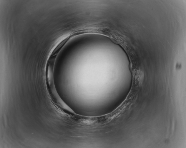 X0000098230148200805011306