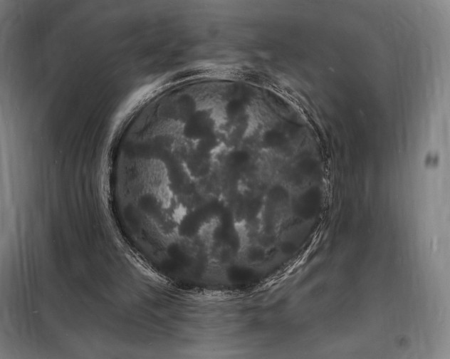 X0000098230149200805011306