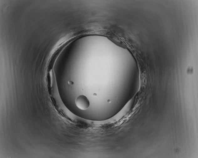 X0000098230150200805011306