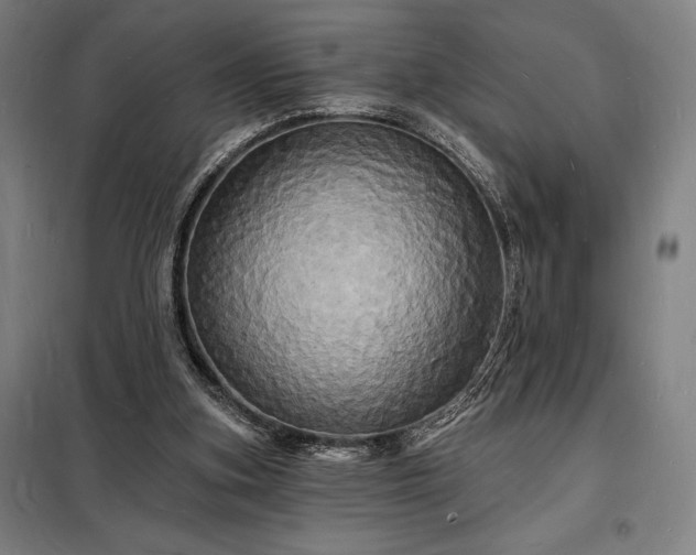 X0000098230155200805011306