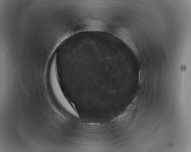 X0000098230156200805011306