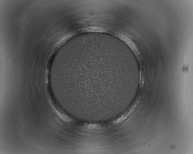 X0000098230157200805011306