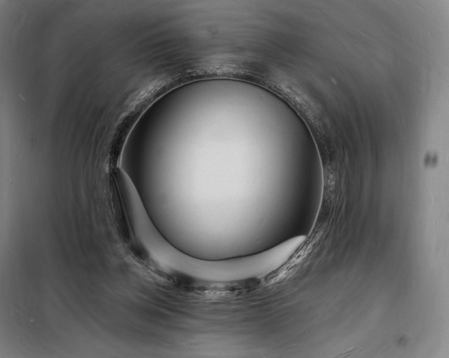 X0000098230158200805011306