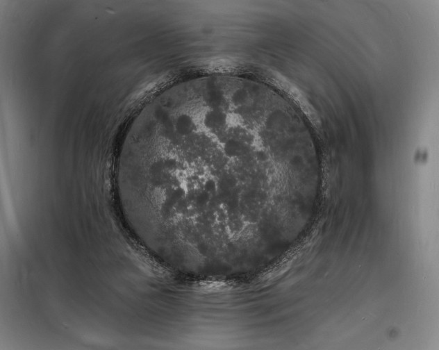 X0000098230161200805011306