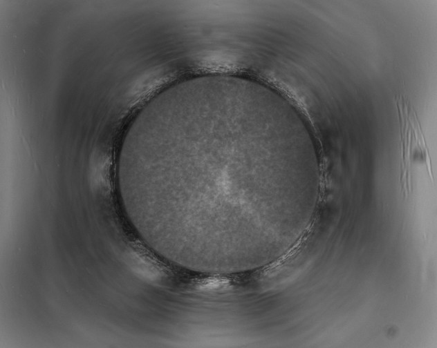 X0000098230162200805011306