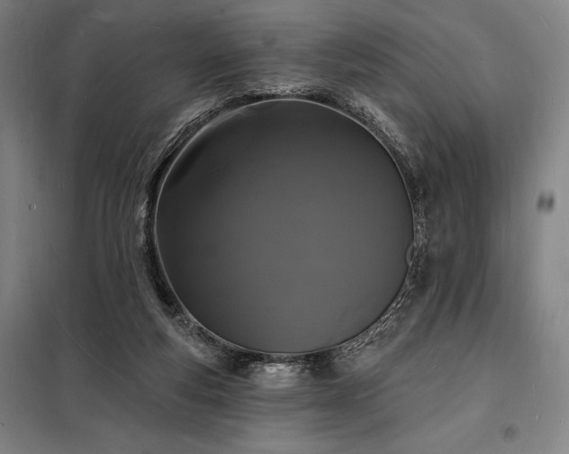 X0000098230163200805011306