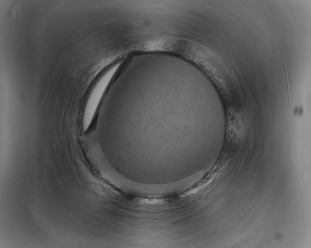 X0000098230164200805011306