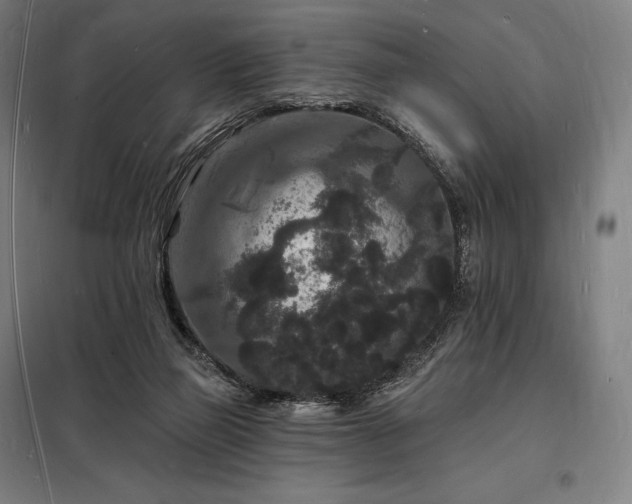 X0000098230165200805011306