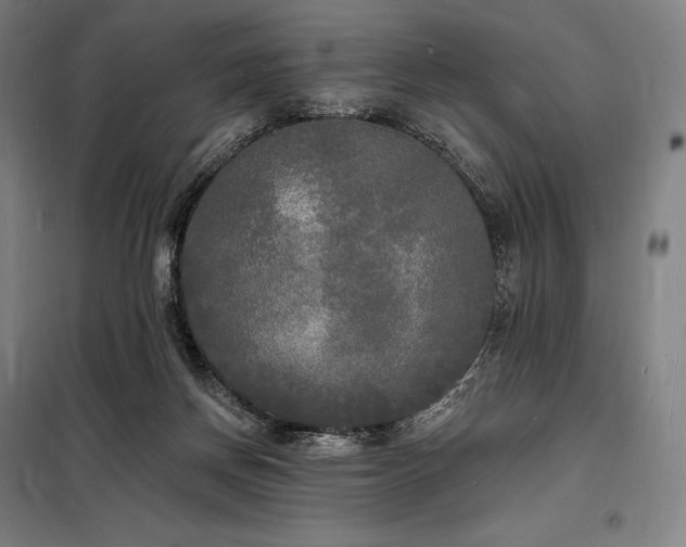 X0000098230166200805011306