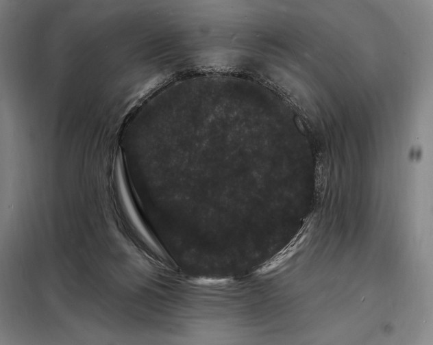 X0000098230168200805011306
