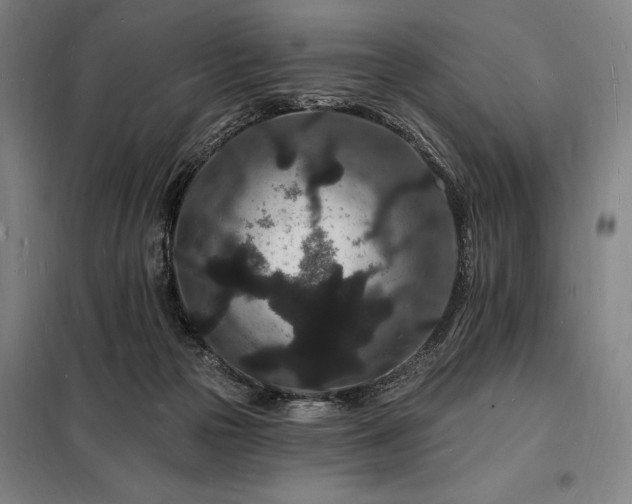 X0000098230169200805011306