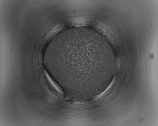 X0000098230170200805011306