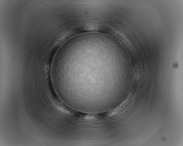 X0000098230171200805011306