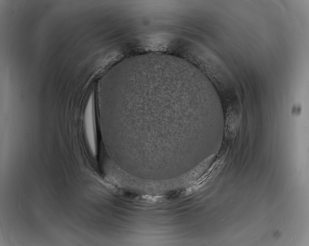 X0000098230172200805011306