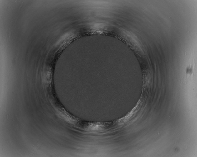 X0000098230174200805011306