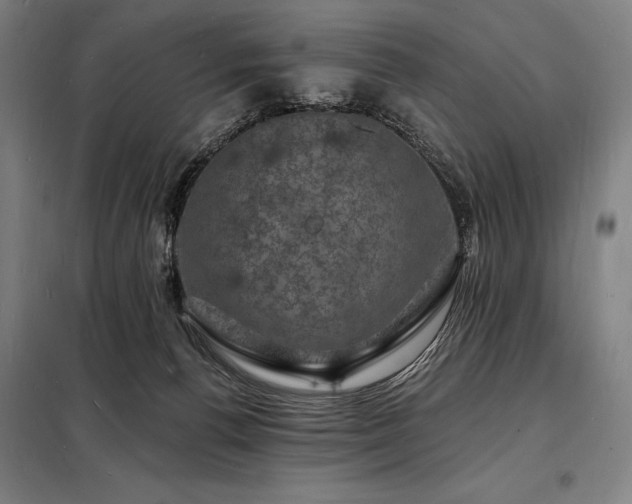X0000098230176200805011306