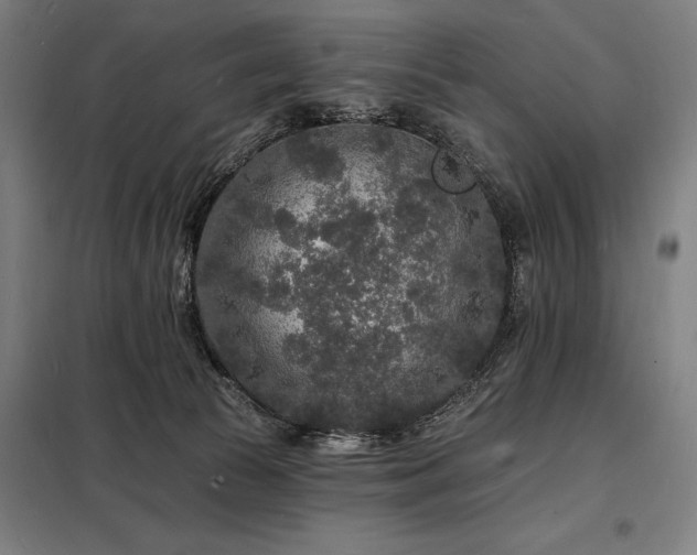 X0000098230177200805011306