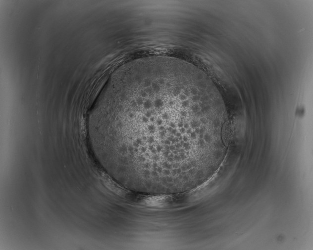 X0000098230178200805011306