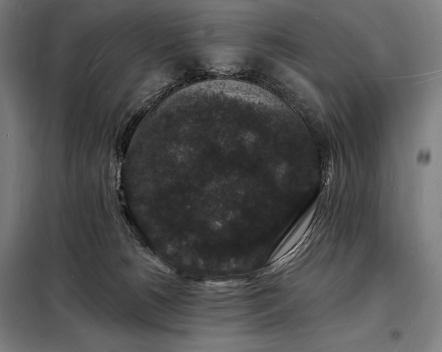 X0000098230180200805011306