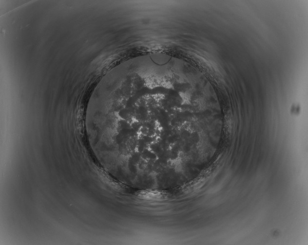 X0000098230181200805011306
