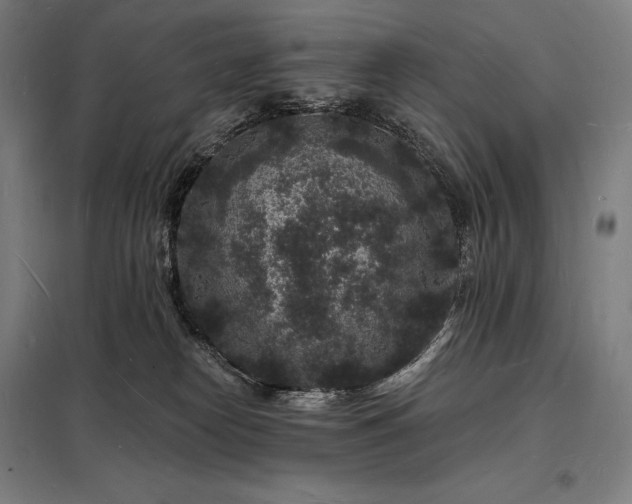 X0000098230182200805011306
