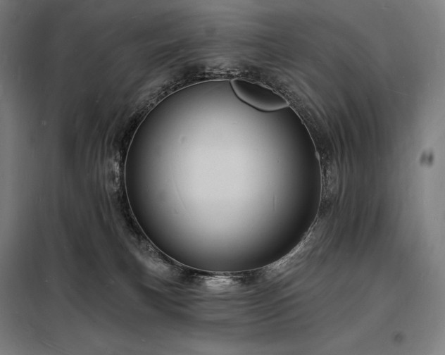X0000098230183200805011306