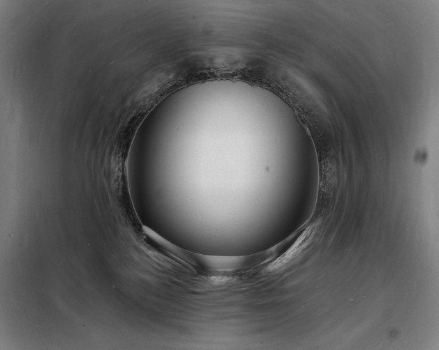 X0000098230184200805011306