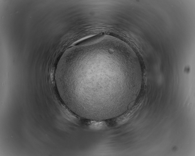 X0000098230185200805011306
