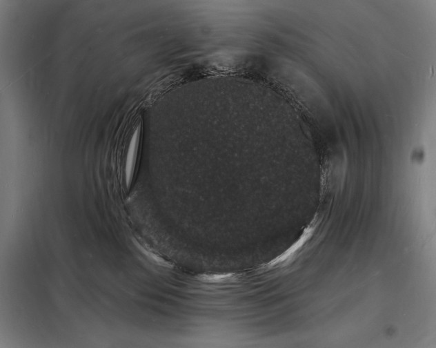 X0000098230186200805011306