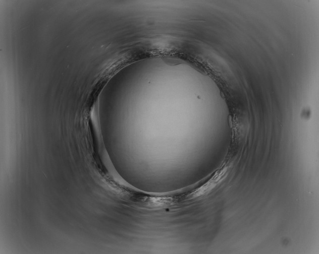 X0000098230188200805011306