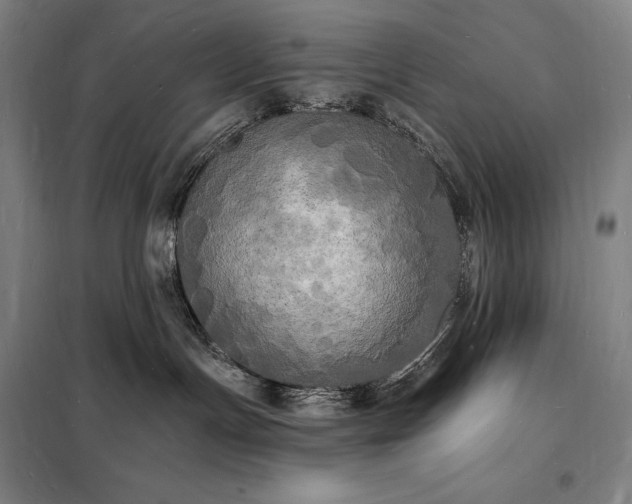 X0000098230191200805011306