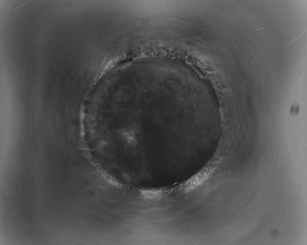 X0000098230192200805011306