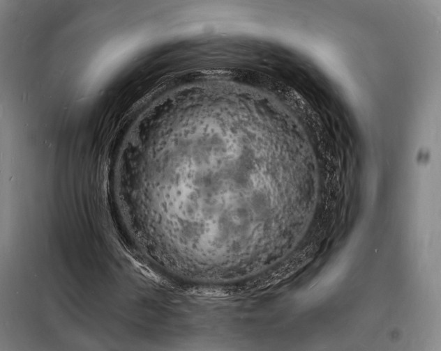 X0000098230194200805011306