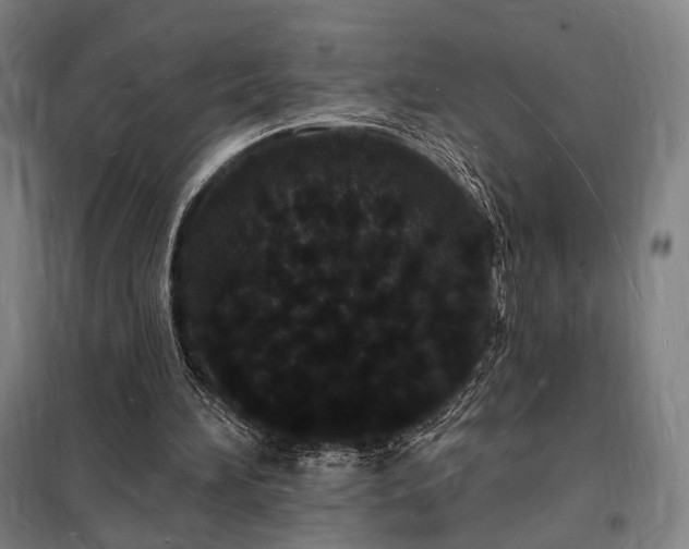 X0000098230196200805011306