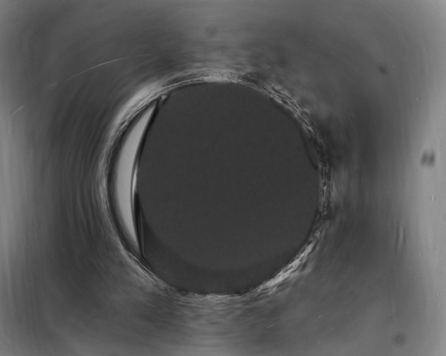X0000098230197200805011306