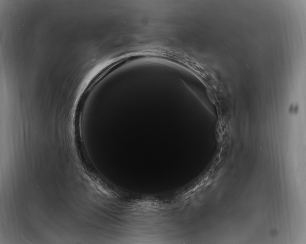 X0000098230200200805011306