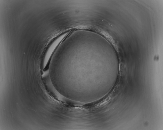 X0000098230201200805011306