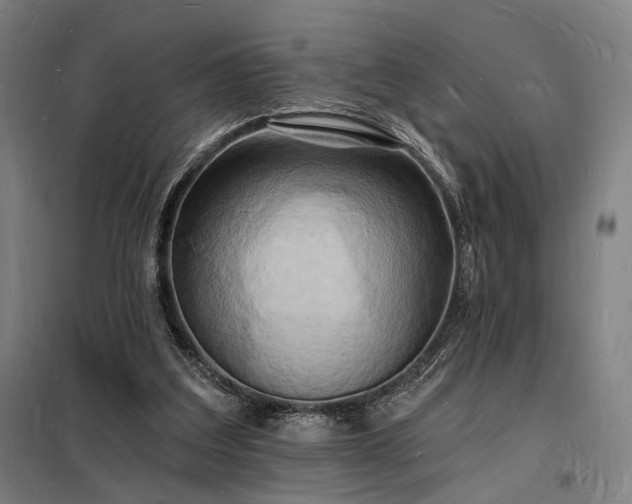 X0000098230203200805011306