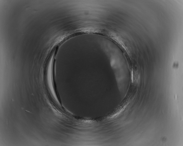 X0000098230205200805011306