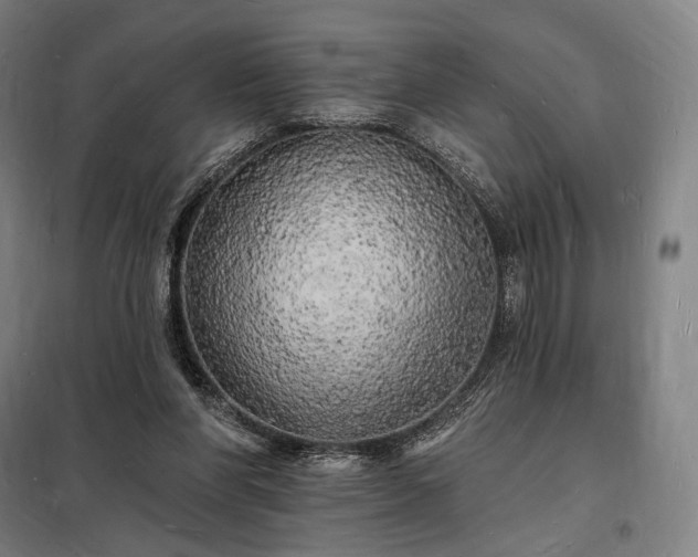 X0000098230206200805011306