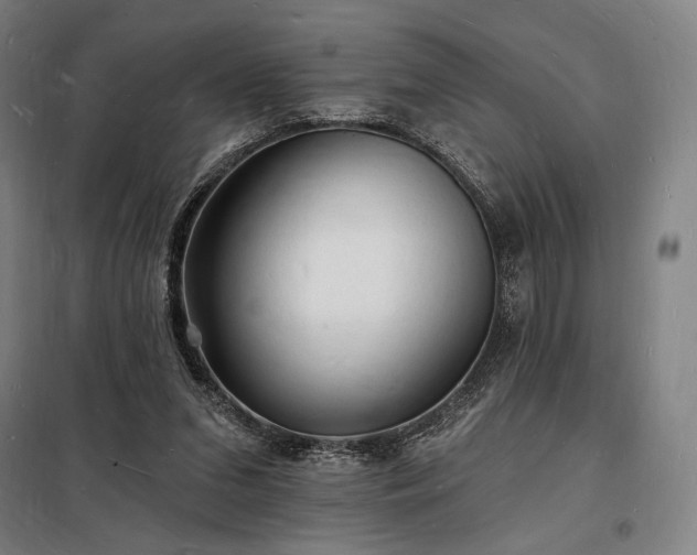 X0000098230207200805011306